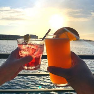 Meet your Posher, Donna